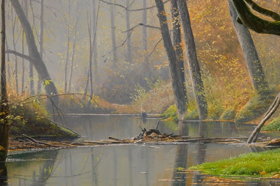 Peaceful autumn landscape