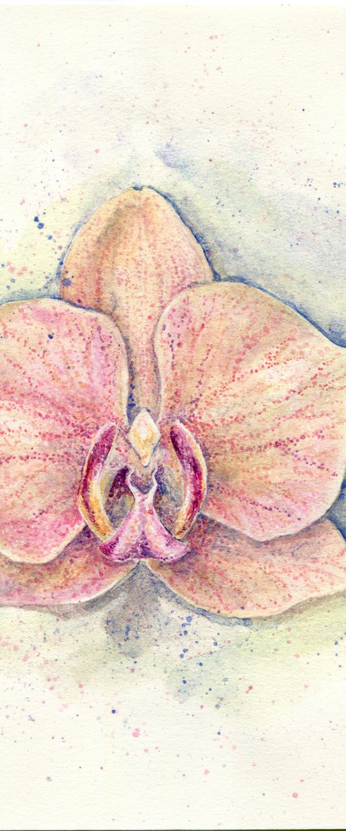 Watercolor orchid flower by Liliya Rodnikova