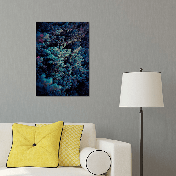 Spring | Limited Edition Fine Art Print 1 of 10 | 40 x 60 cm