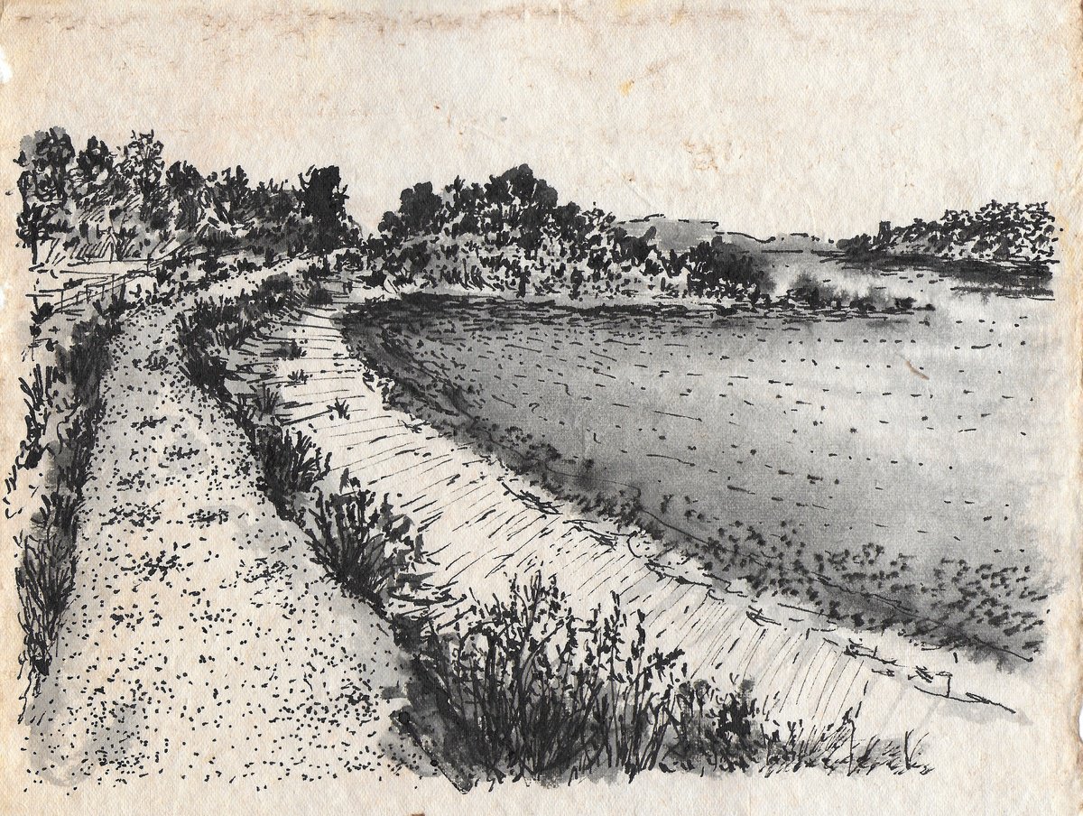Expressive Watercolour , Cunda / Shaded Field By Gozde Temiz Istanbul, 12 X 9, Artwork For Sale On Artfinder