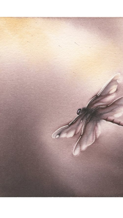 Glimpse IX - Sunset Dragonfly Watercolor Painting by ieva Janu