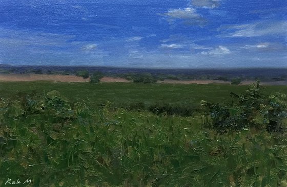 By the Field