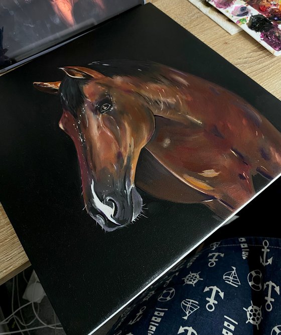 ‘Midnight’ Horse oil painting