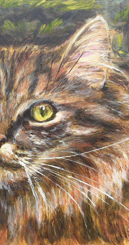 Cat by Elena Sokolova