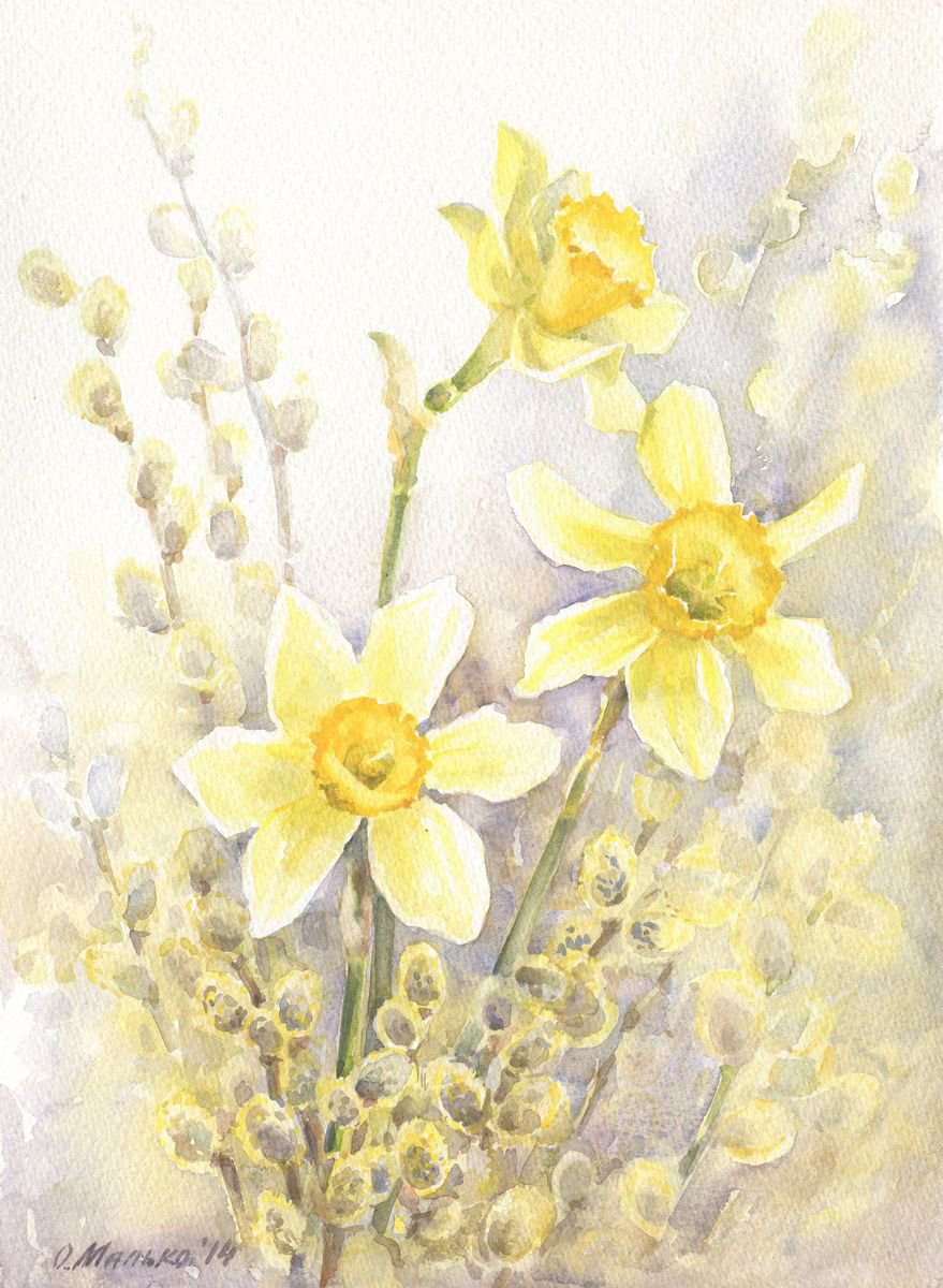 Spring mood / Daffodils and pussy willow Yellow grey floral watercolor by Olha Malko
