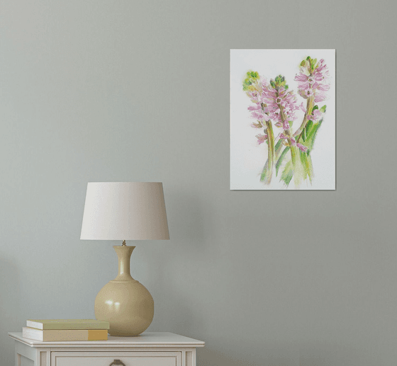 Lush Pink Hyacinths – Botanical Watercolor