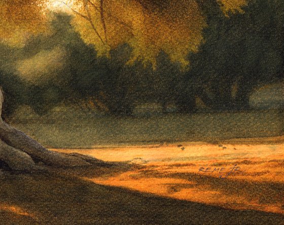 Olive Tree