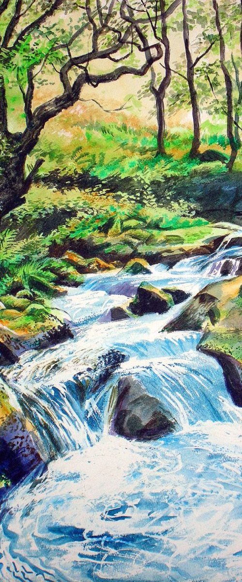 East Okement River, Dartmoor by Daniel Loveday