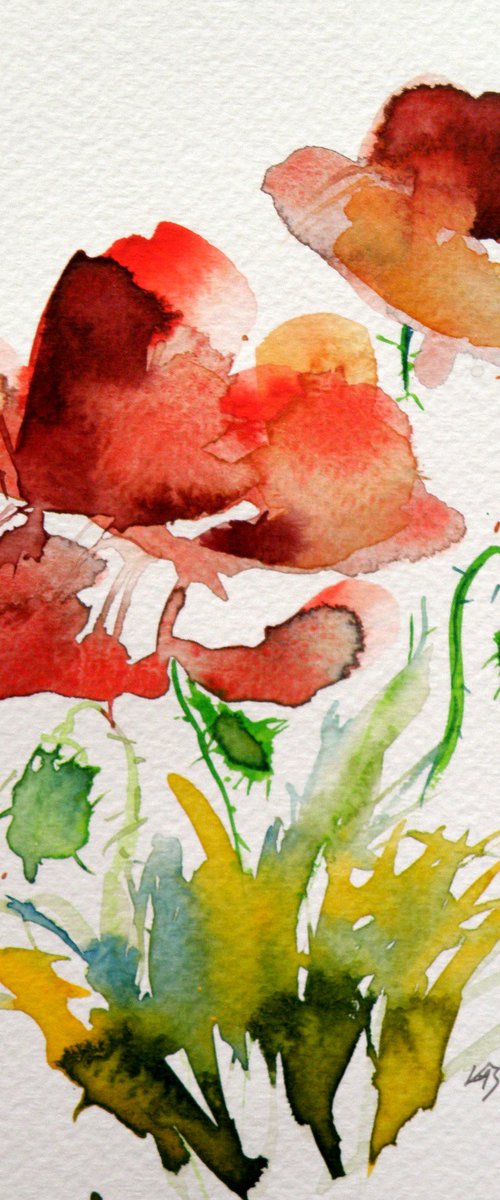Little poppies by Kovács Anna Brigitta