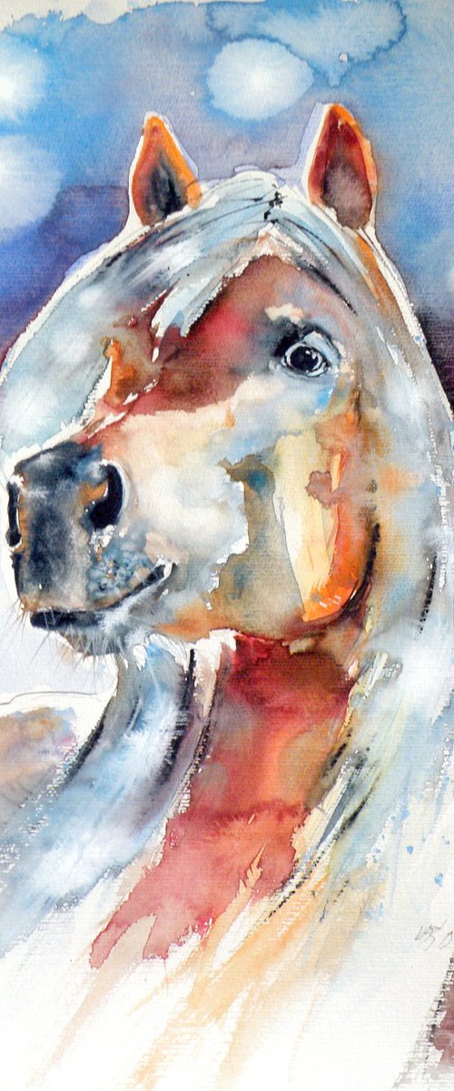 Horse portrait by Kovács Anna Brigitta