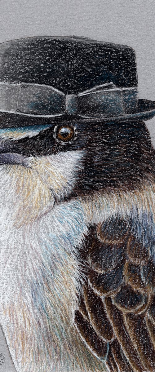 Northern white-crowned shrike by Mikhail Vedernikov