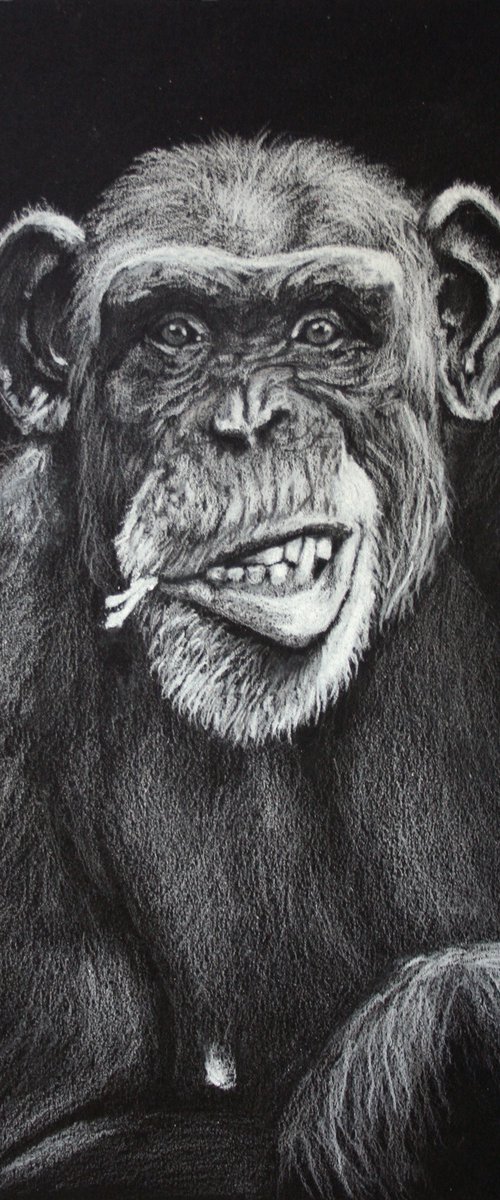 Chimpanzee I by Salana Art