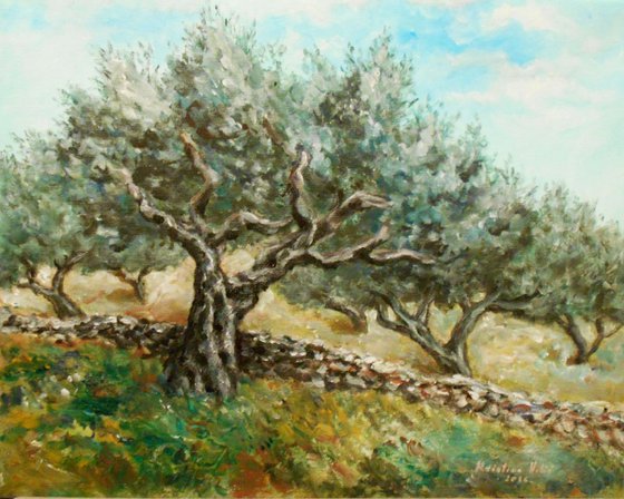 Olive trees