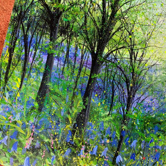 Local Bluebells II