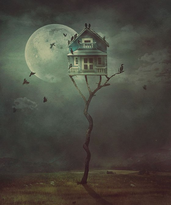 Bird House - Night Gathering - limited edition of 5