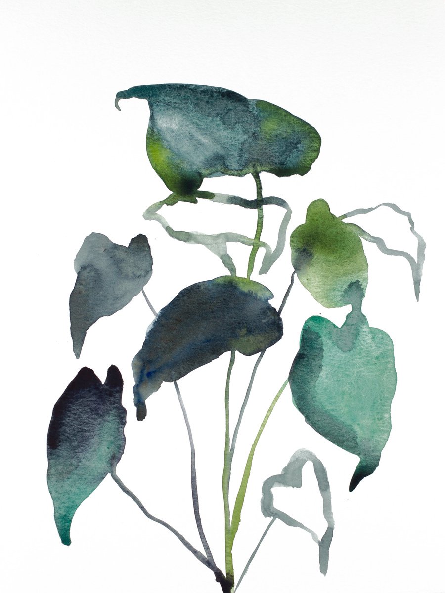 Plant Study No. 88 by Elizabeth Becker