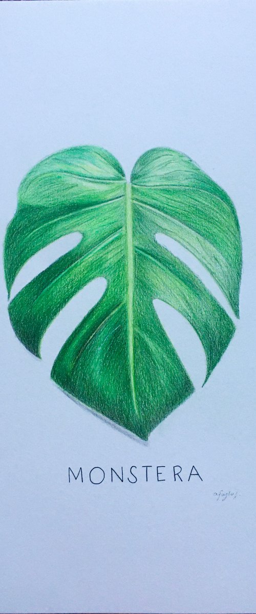 Monstera Leaf Drawing by Amelia Taylor