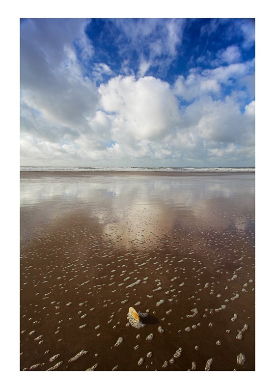 Newgale Shell