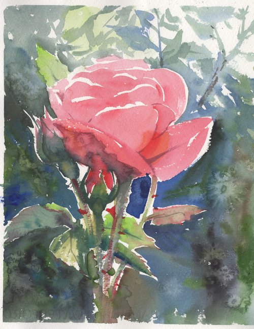 Rose watercolor painting art by Samira Yanushkova