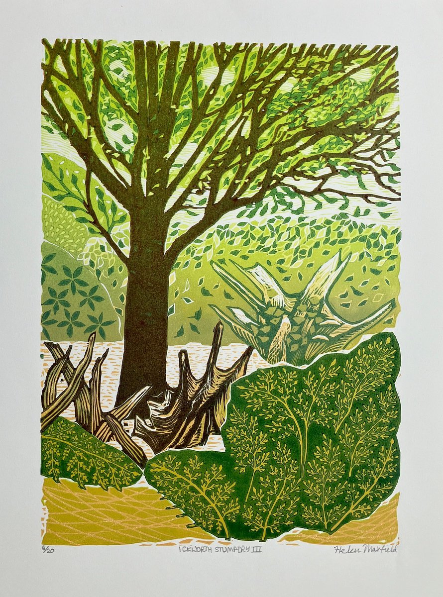 Landscape Linocut By Helen Maxfield, 12 X 16, Ickworth Stumpery Iii, Original Artwork
