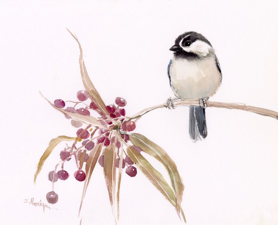 mountain chickadee