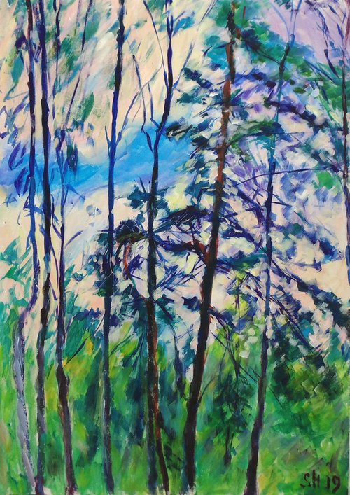 Pine and Birch by Alexander Shvyrkov