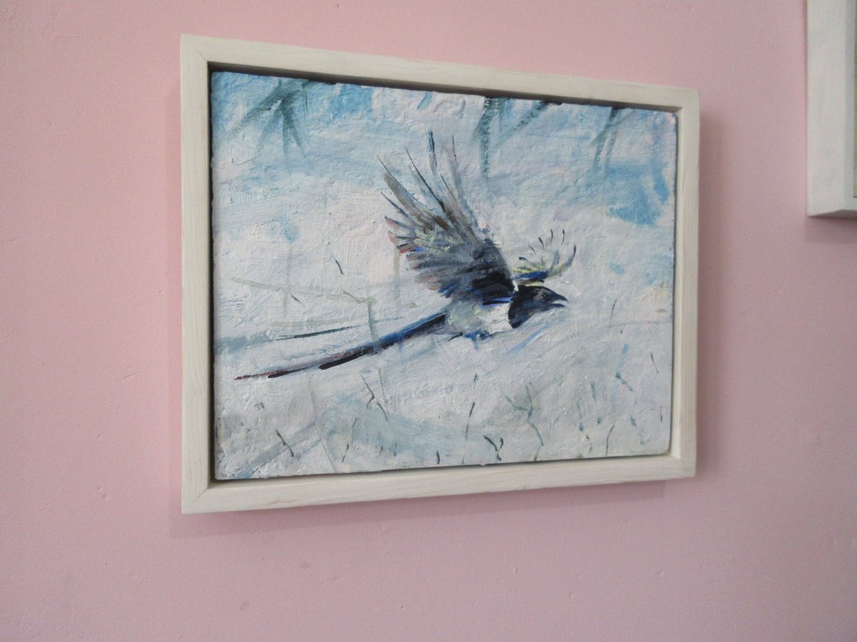 Impressionistic Animal Oil Painting By Alan Pergusey, 17 X 13, Magpie In Flight, Original Artwork