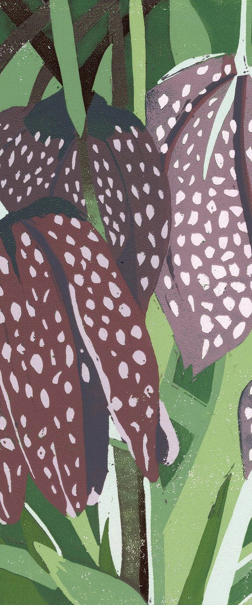 Fritillary by Joanne Spencer