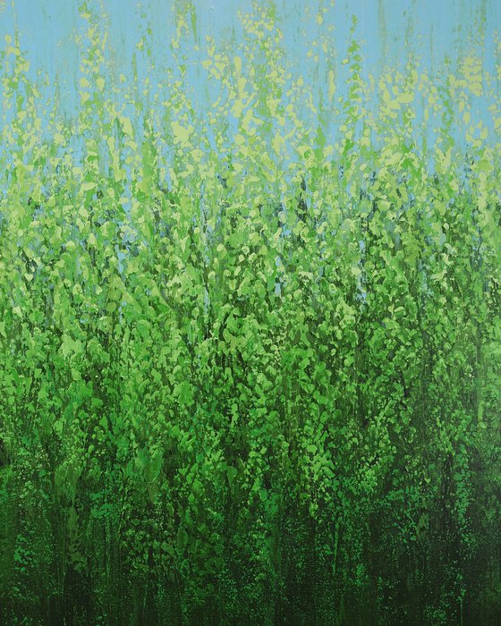 Nature's Green Field