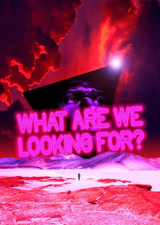What are We Looking For?