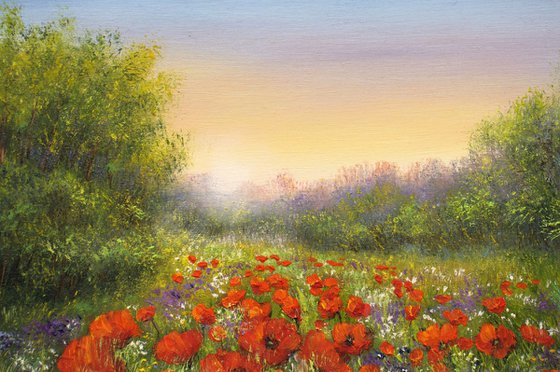 Sunset on the poppy field