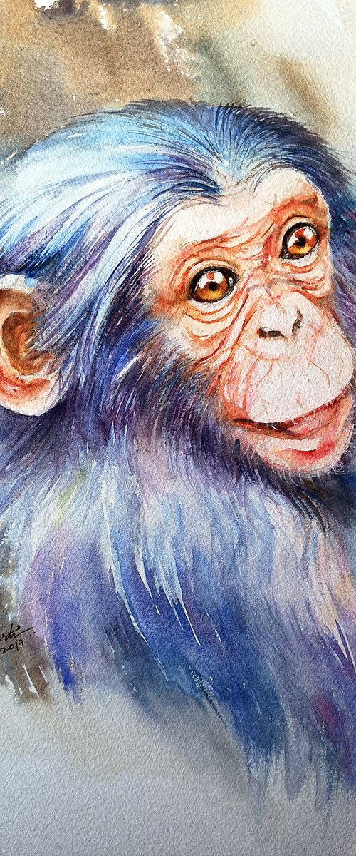 KiKi the Baby Chimpanzee by Arti Chauhan