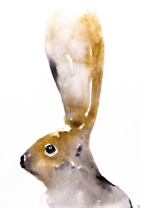 Hare by Nadia Moniatis