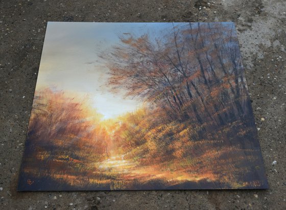 "A blaze of autumn sunrise"  SPECIAL PRICE!!!