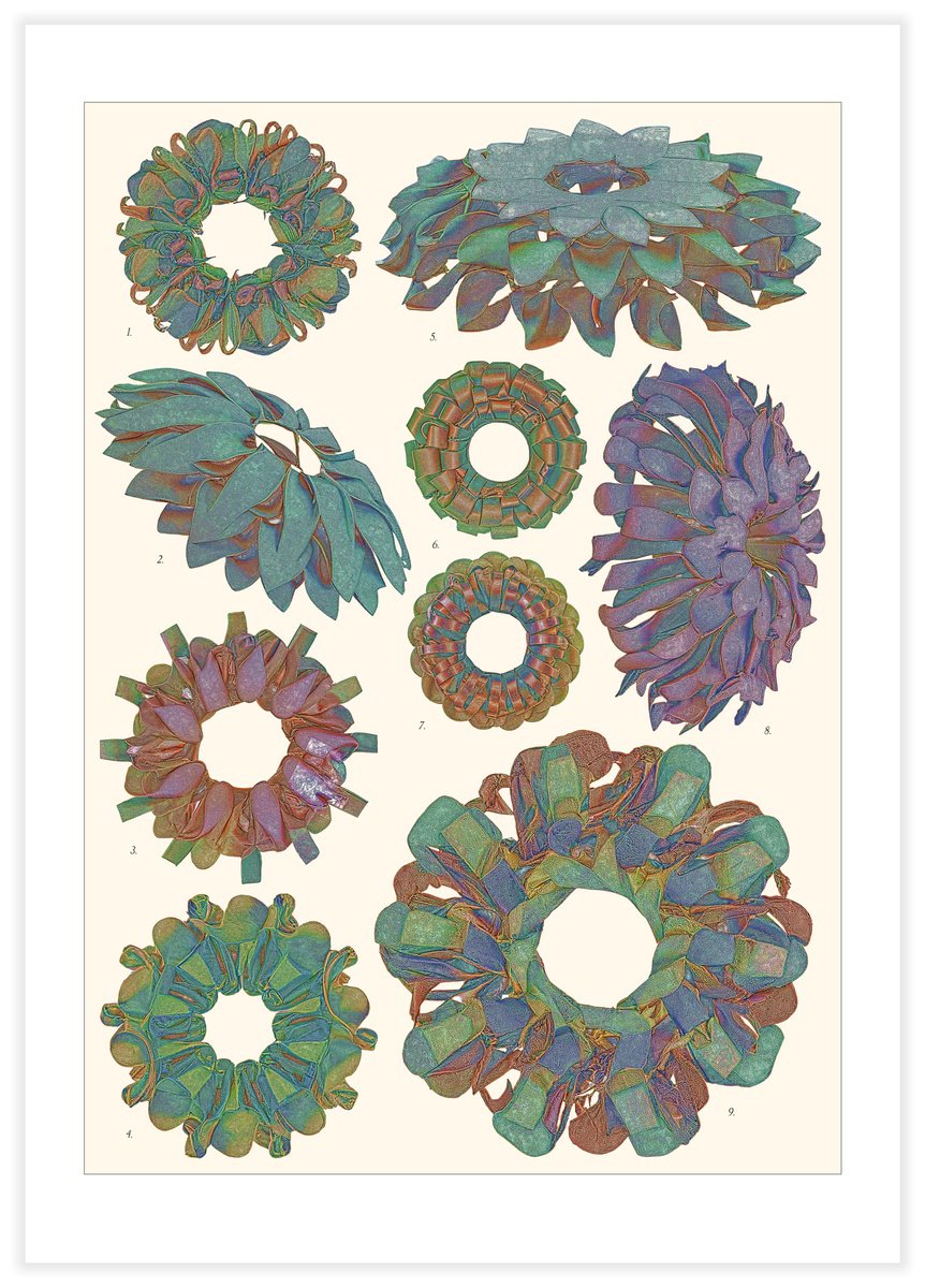 Illustrative Botanical Giclee Print By Vanda Berecz, 16 X 23", Monstera Ficta, Original Artwork