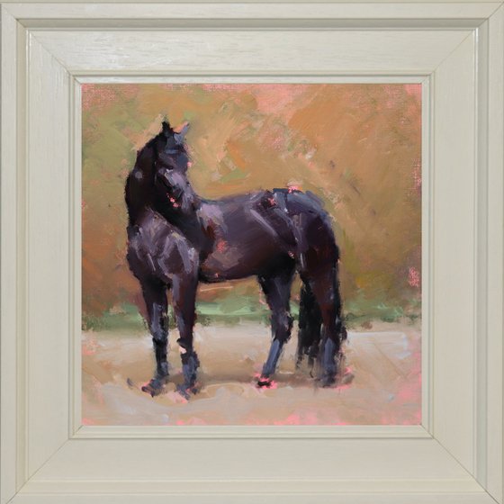 Black Horse Study