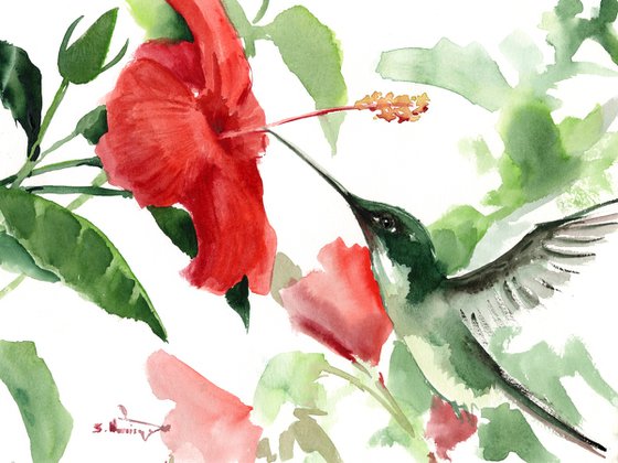 Hummingbird and Hibiscus