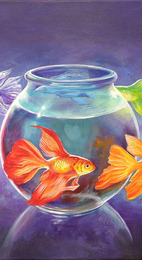 Goldfish XII by Daniel Loveday