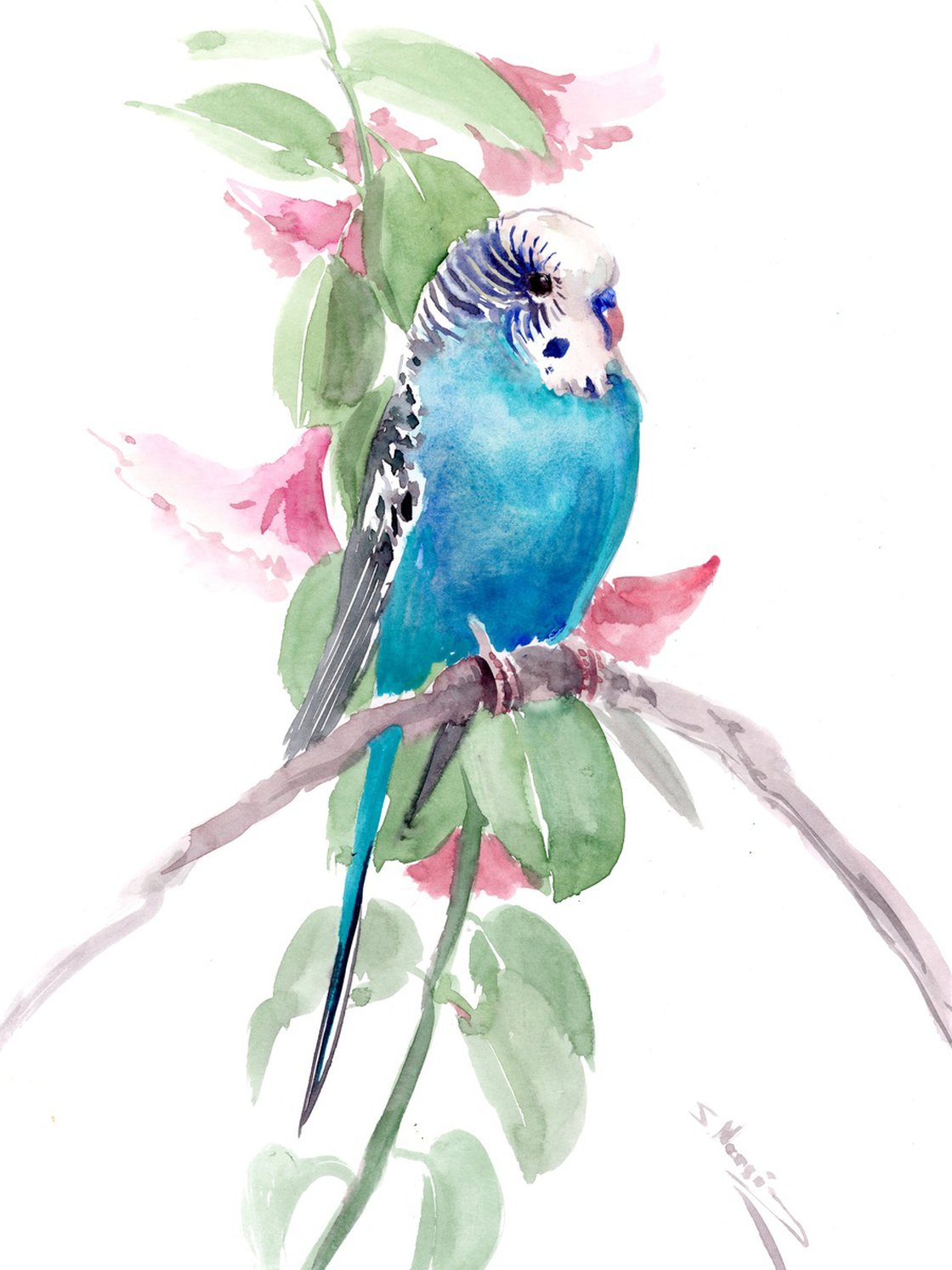 Budgie orders painting