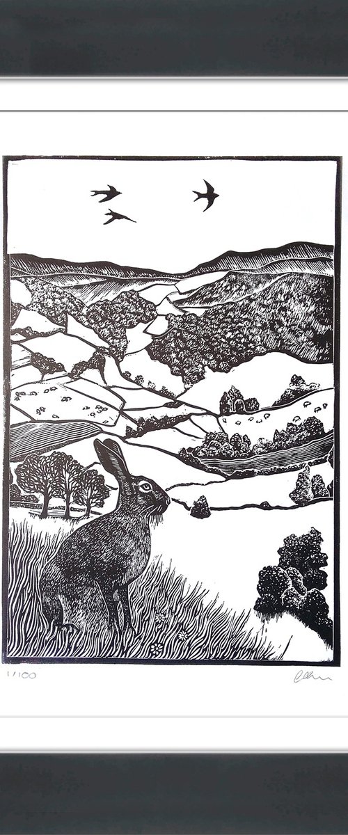 Hare's view by Carolynne Coulson