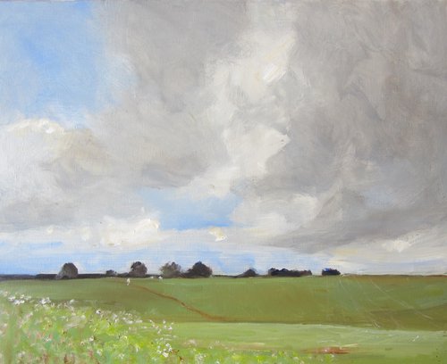 Howardian Hills, May 17 by Malcolm Ludvigsen