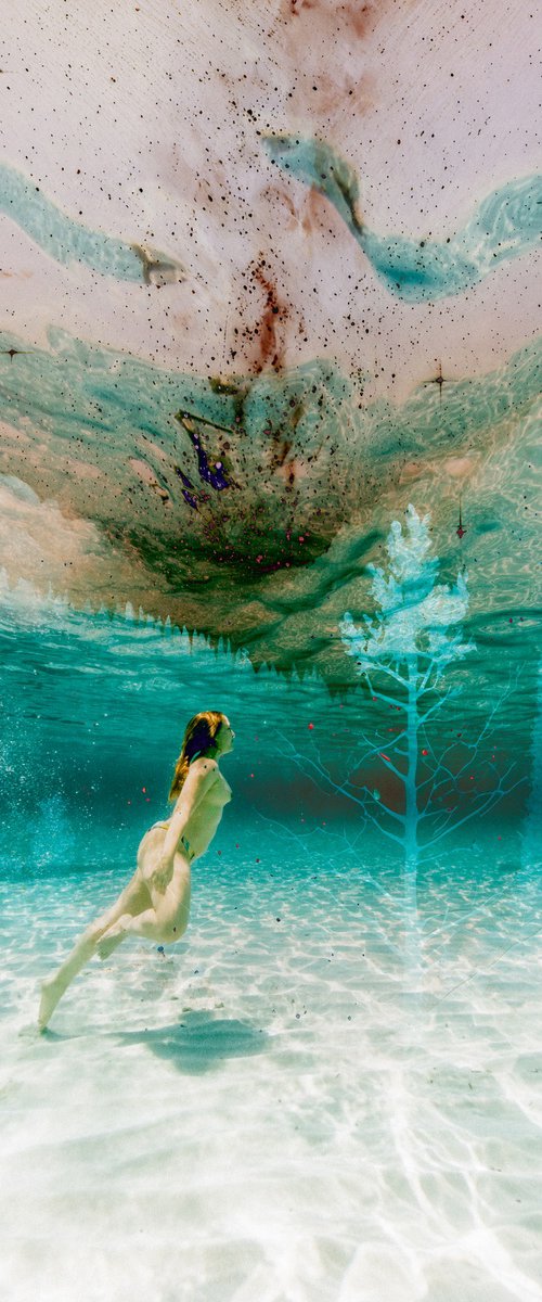Underwater dreams by Xavi Baragona