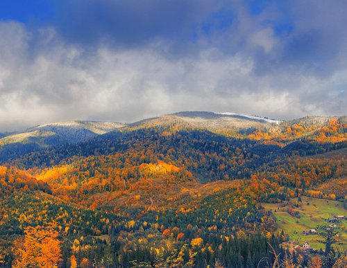 Bright colors of autumn. by Valerix