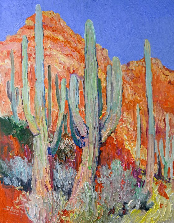 Saguaro Cactuses and Red Rocks, Desert in Arizona