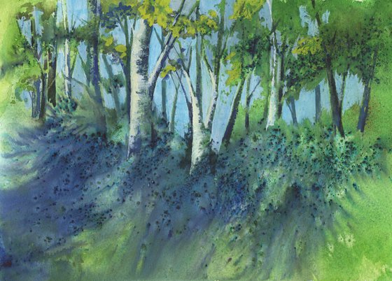 Bluebell Wood