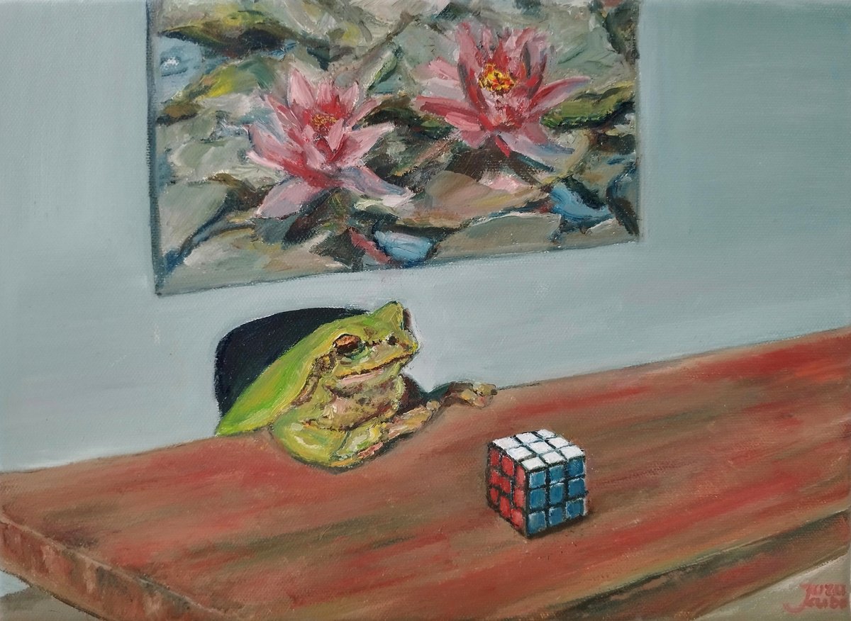 Frog with a Rubik’s Cube by Jura Kuba Art