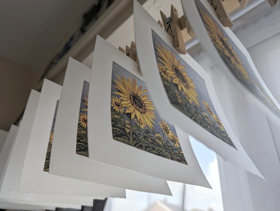 Sunflowers and Storms