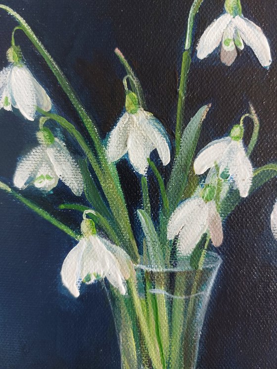 ”Snowdrops”