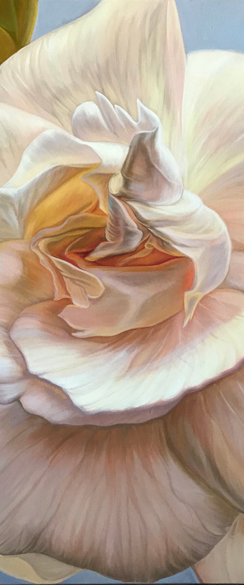 Gardenia by Elena