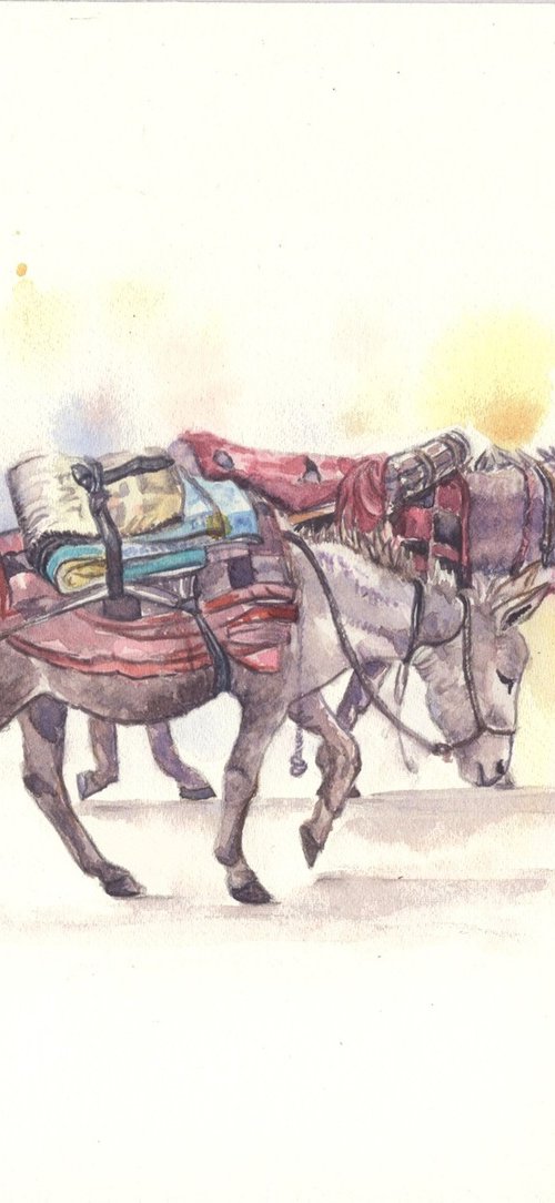 Two Donkeys on the road by Shweta  Mahajan